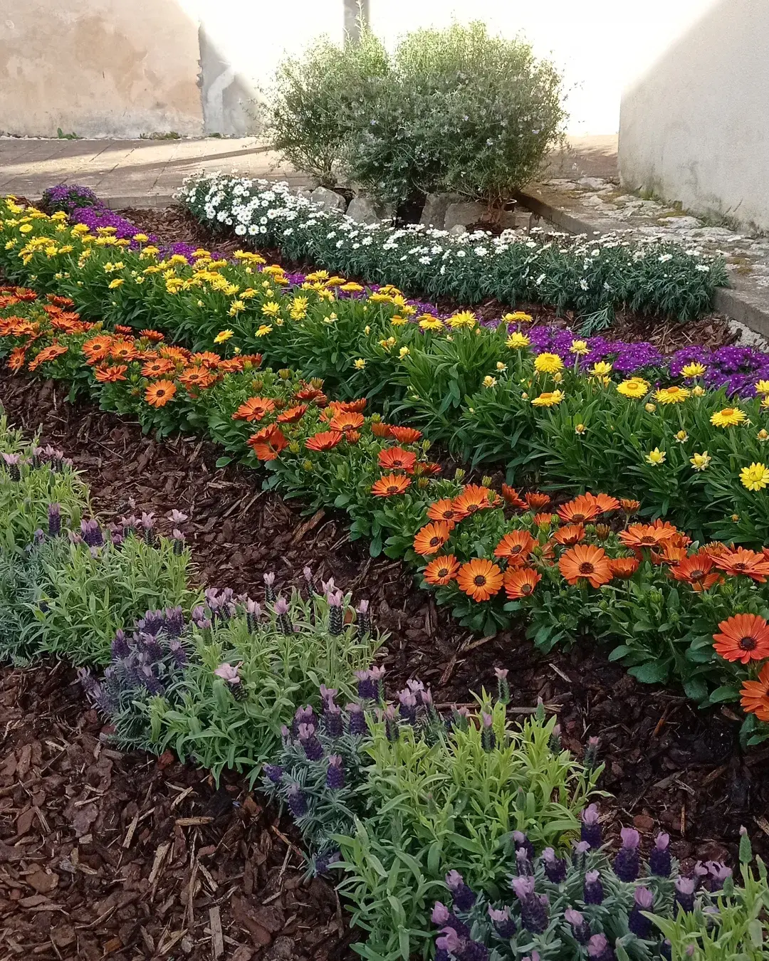 Accademia Belle Arti