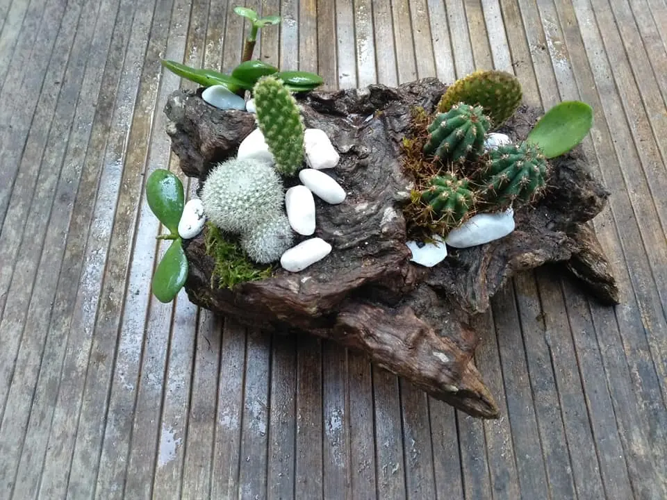 Giardino in Miniatura